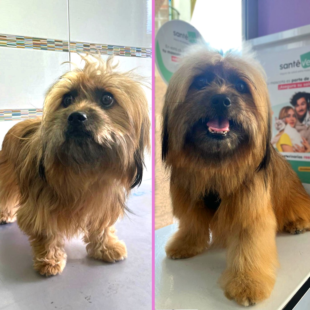 PELUQUERÍA
